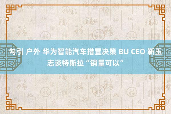 勾引 户外 华为智能汽车措置决策 BU CEO 靳玉志谈特斯拉“销量可以”