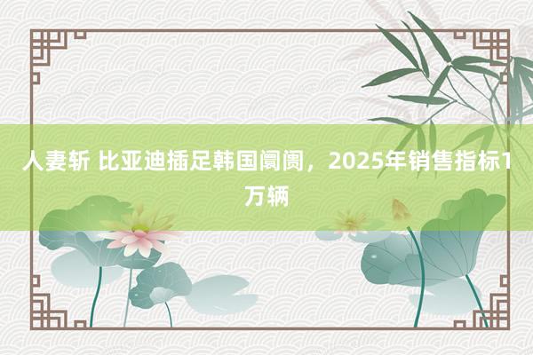 人妻斩 比亚迪插足韩国阛阓，2025年销售指标1万辆