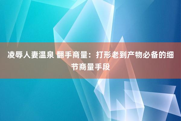 凌辱人妻温泉 翻手商量：打形老到产物必备的细节商量手段