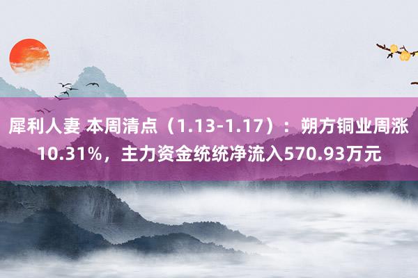 犀利人妻 本周清点（1.13-1.17）：朔方铜业周涨10.31%，主力资金统统净流入570.93万元